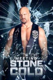Meeting Stone Cold 2021 one on netflix