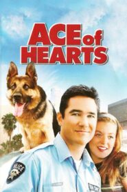 Ace of Hearts 2008 one on netflix