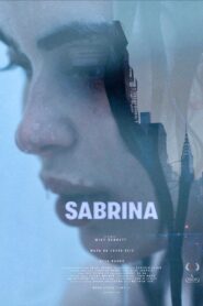 Sabrina 2020 one on netflix