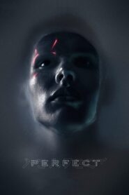 Perfect 2019 one on netflix