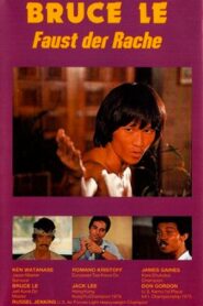 Bruce’s Fists Of Vengeance 1980 one on netflix