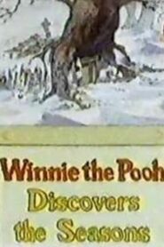 Winnie the Pooh Discovers the Seasons 1981 one on netflix