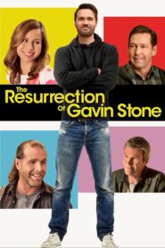 The Resurrection of Gavin Stone 2017 one on netflix