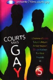 Courts mais Gay : Tome 5 2003 one on netflix