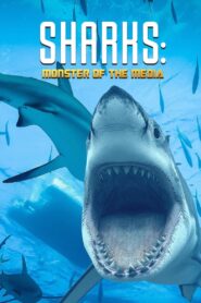 Sharks: Monster of the Media 2019 one on netflix