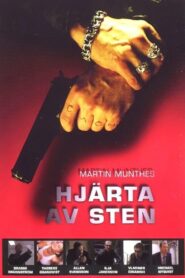 Hjärta av sten 2000 one on netflix