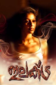 Elektra 2010 one on netflix
