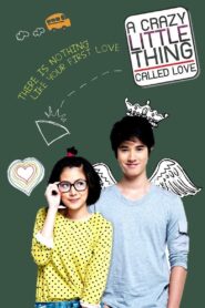 A Little Thing Called Love 2010 one on netflix
