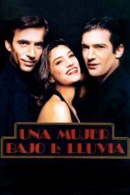 Una mujer bajo la lluvia 1992 one on netflix