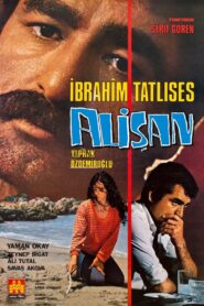 Alişan 1982 one on netflix