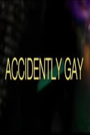 Accidently Gay 2001 one on netflix