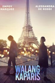 Nothing Like Paris 2023 one on netflix