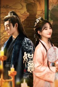 Ruyi 2024 one on netflix