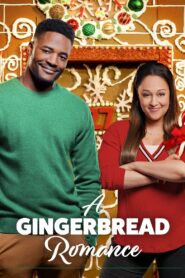 A Gingerbread Romance 2018 one on netflix