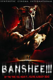 Banshee!!! 2008 one on netflix