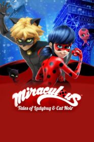 Miraculous: Tales of Ladybug & Cat Noir 2017 one on netflix