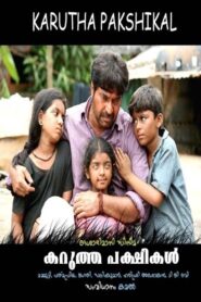 Karutha Pakshikal 2006 one on netflix