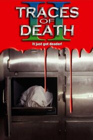 Traces Of Death II 1994 one on netflix