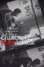 Chambre 12, Hôtel de Suède 1993 one on netflix
