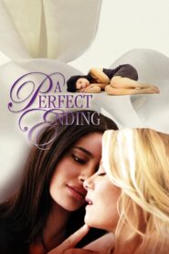 A Perfect Ending 2012 one on netflix