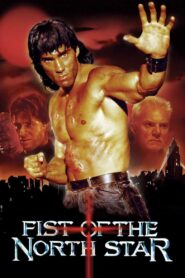 Fist of the North Star 1995 one on netflix