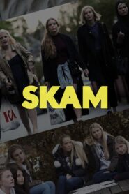 SKAM 2015 one on netflix