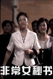 Unusual Secretary 2010 one on netflix