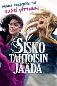 Run Sister Run! 2010 one on netflix