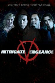 Intricate Vengeance 2016 one on netflix