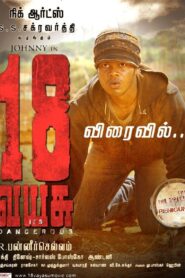 18 Vayasu 2012 one on netflix
