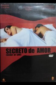 Secreto de amor 2005 one on netflix