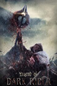 Legend of Dark Rider 2016 one on netflix
