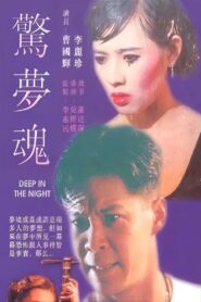 Deep in Night 1995 one on netflix