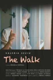The Walk 2014 one on netflix