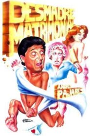 Desmadre matrimonial 1987 one on netflix