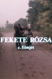 Fekete rózsa 1980 one on netflix
