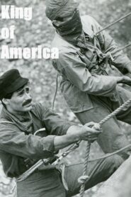 King of America 1982 one on netflix