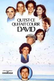 Qu’est-ce qui fait courir David ? 1982 one on netflix