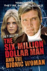 The Return of the Six-Million-Dollar Man and the Bionic Woman 1987 one on netflix