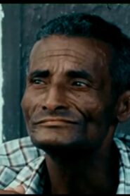 Memória da Vida e do Trabalho 1984 one on netflix
