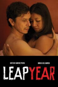 Leap Year 2010 one on netflix