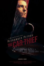 The Car Thief 2015 one on netflix