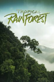 Tropical Rainforest 1992 one on netflix