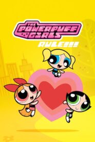 The Powerpuff Girls Rule!!! 2008 one on netflix