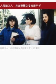 美人母娘3人 ああ華麗なる結婚サギ 1986 one on netflix