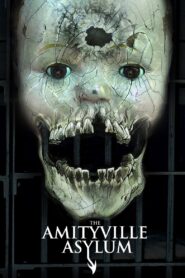 The Amityville Asylum 2013 one on netflix