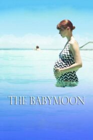 The Babymoon 2017 one on netflix