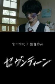 Seventeen 2020 one on netflix