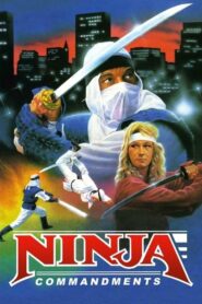Ninja Commandments 1987 one on netflix