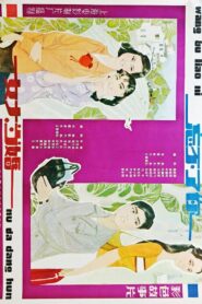 女大当婚 1982 one on netflix
